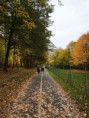 /album/podzimni-toulani/pt-20-10-2026-12-jpg/